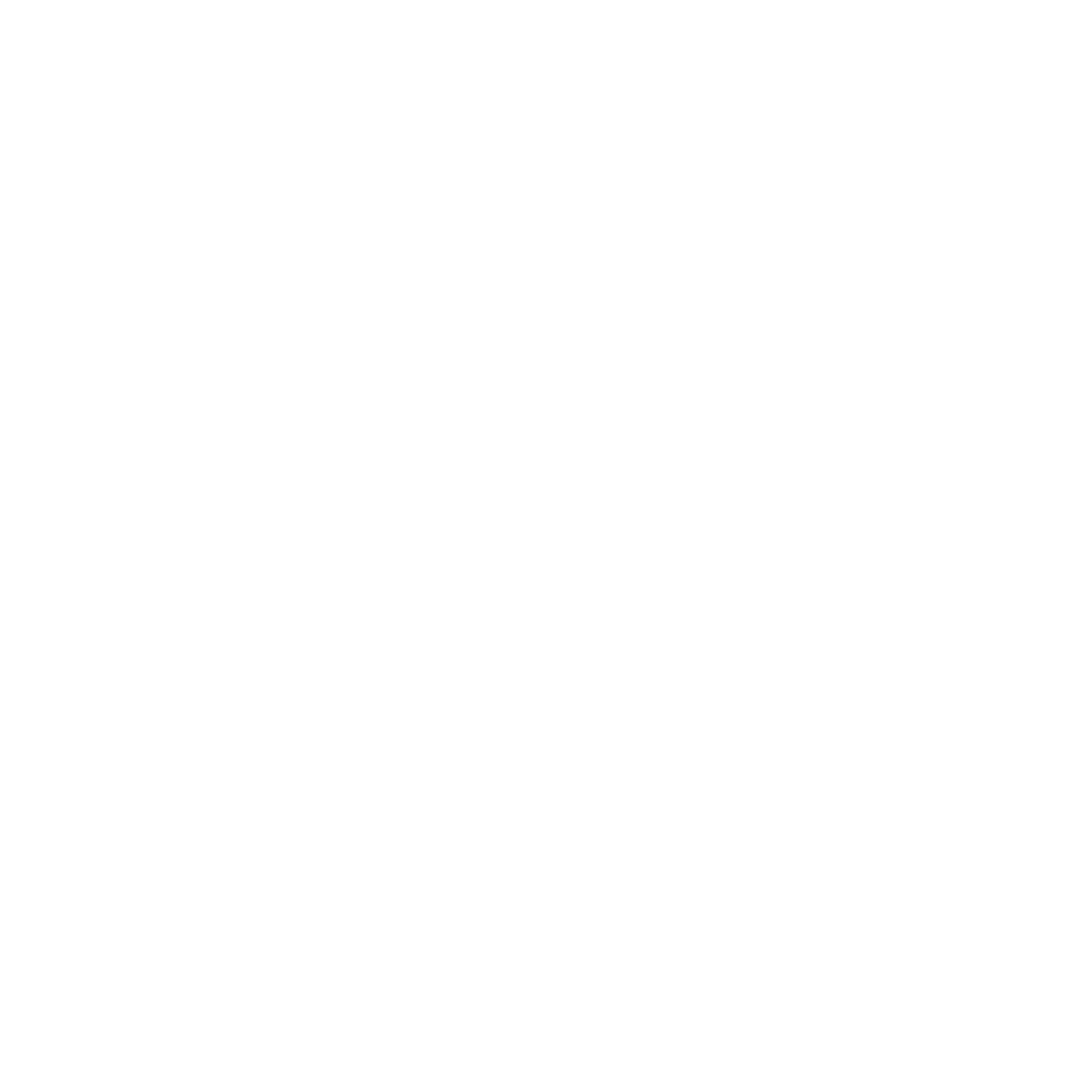 Logo_TP_White
